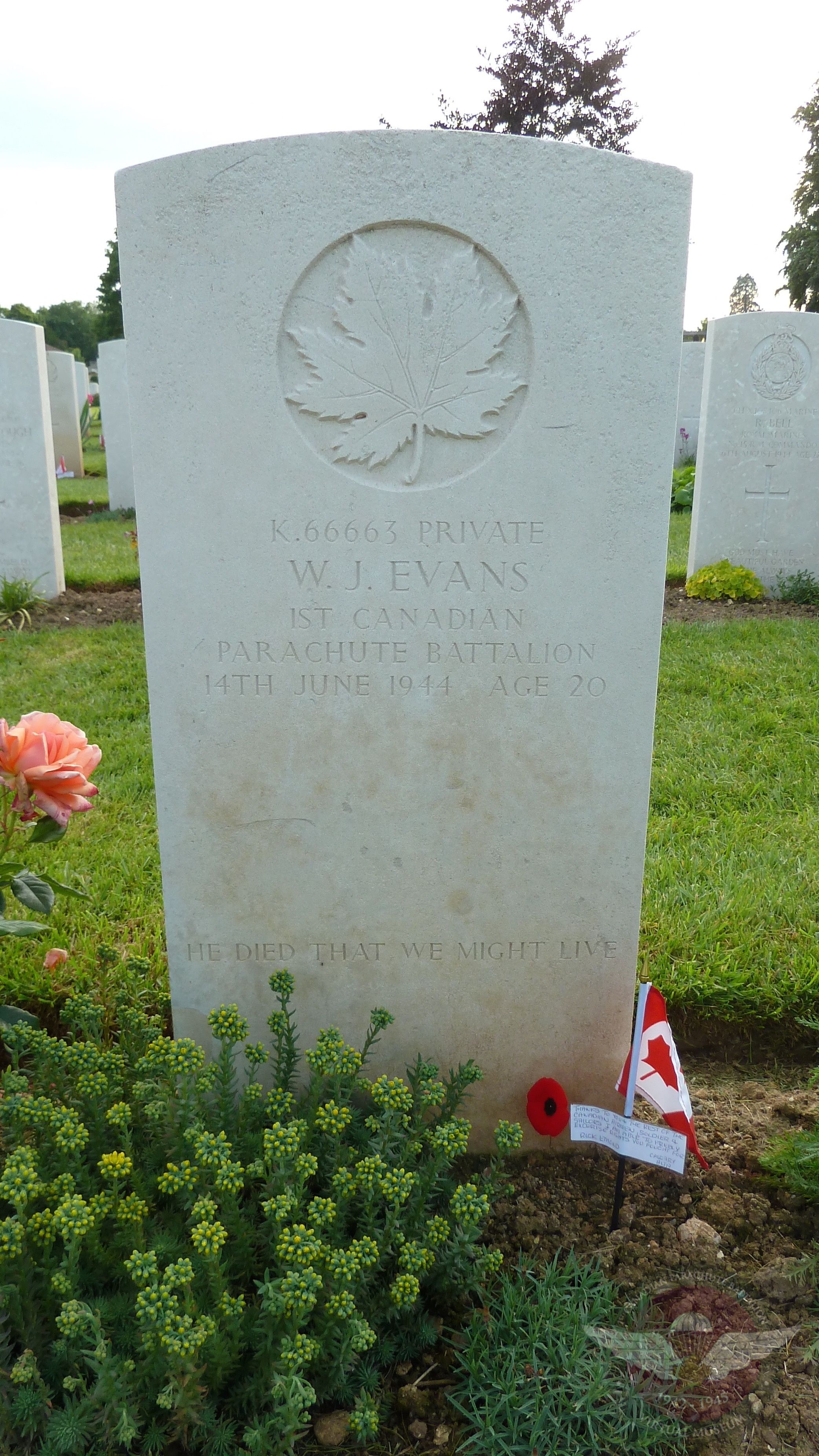 Evans W.J.