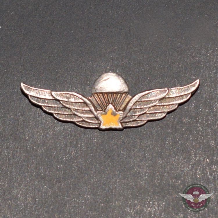 Sterling Silver Lapel Pin