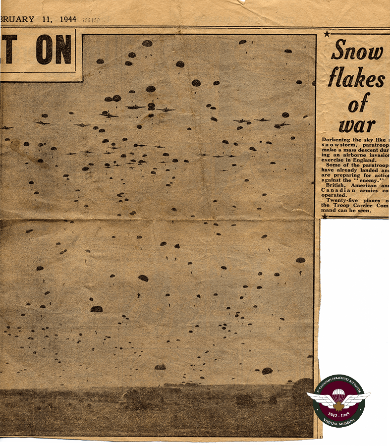 Snow Flakes